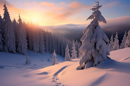 夕阳下的雪景背景图片