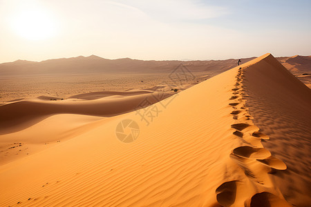 沙漠中的足迹背景图片