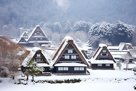 冬日的白川乡雪中的白川合村高清图片