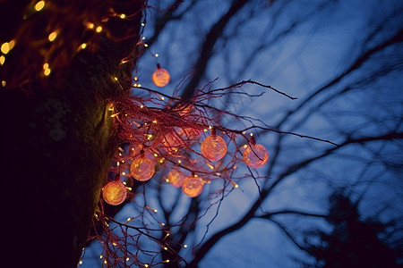 神奇树下的闪烁灯海背景图片