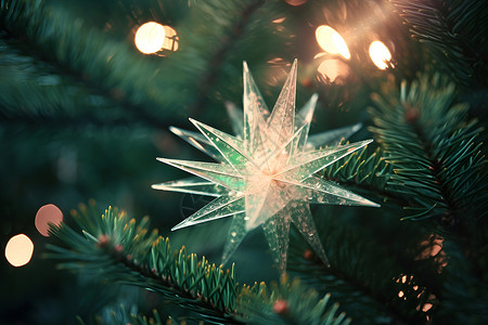 圣诞树上闪烁的星星背景图片
