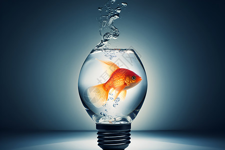 灯泡金鱼素材水中荡漾的金鱼设计图片