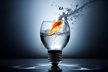 灯泡金鱼素材水中的一只金鱼设计图片