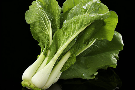 蔬菜上的水滴背景图片