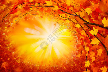 秋季树木上的枫叶背景图片