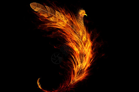 神奇的火焰羽毛背景图片