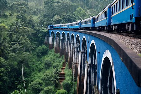 火车穿越森林的桥梁背景图片