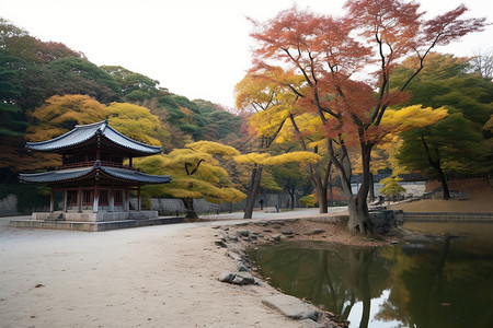 秋日的小园景观背景图片