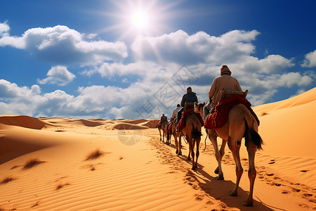 沙漠上行走的骆驼背景图片