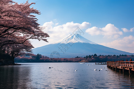 富士山与樱花背景图片