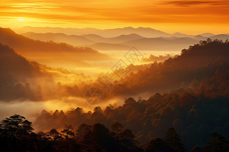 日出山林间的烟雾背景图片