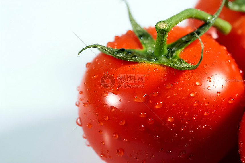 成熟的西红柿图片