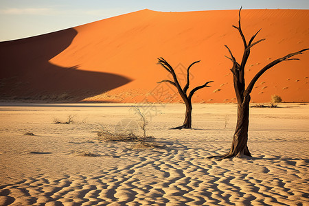 沙漠之中的沙丘背景图片