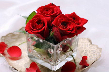 浪漫玫瑰花背景图片