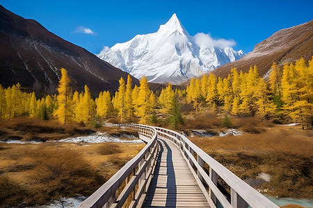 木桥穿越山水背景图片