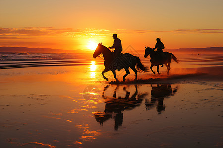 动物剪影夕阳下的沙滩骑行背景