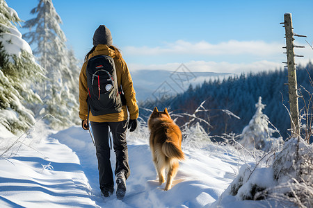 冬日登山者与狗狗在雪地中行走背景图片