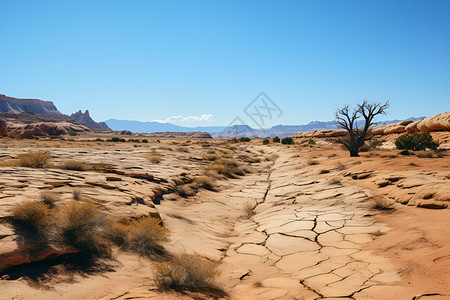 荒芜一人的沙漠景观背景