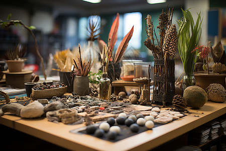桌子上的石子和植物背景图片