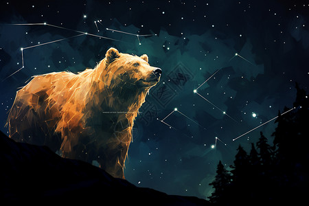 夜晚户外的棕熊背景图片