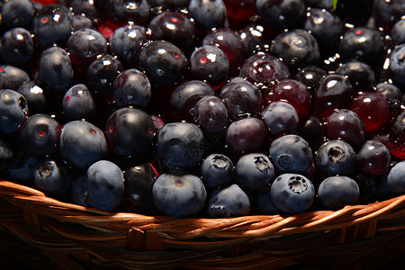 天然新鲜的蓝莓水果背景图片