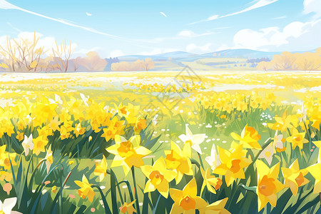美丽的黄色水仙花插画
