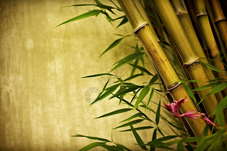 竹子花前黄背景高清图片