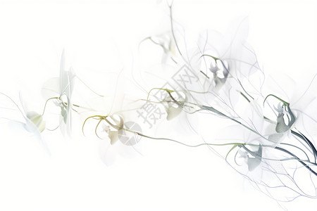 清新自然的兰花花朵背景图片