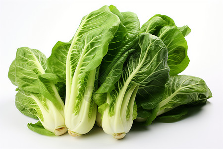 白色背景上的新鲜蔬菜高清图片