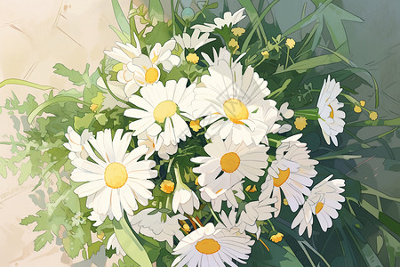 鲜艳的白色花朵美丽的白色雏菊插画