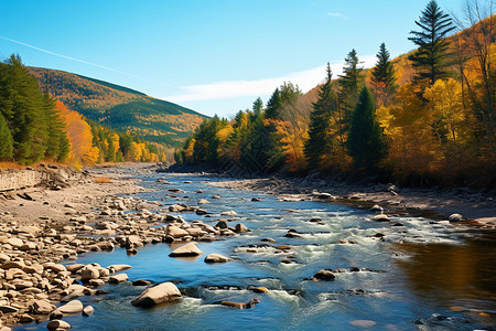 国家森林中的河流背景图片