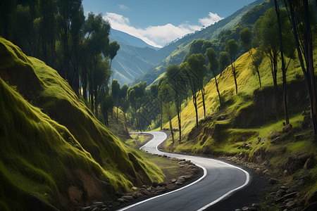 山脉间的公路背景图片