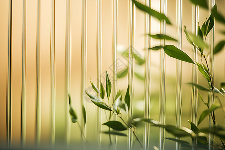 叶子和芦苇玻璃背景图片