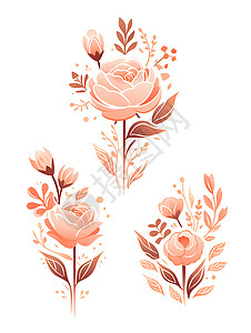 橙色玫瑰插图背景图片