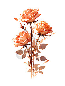 橙色唯美玫瑰花三朵橙色玫瑰插画