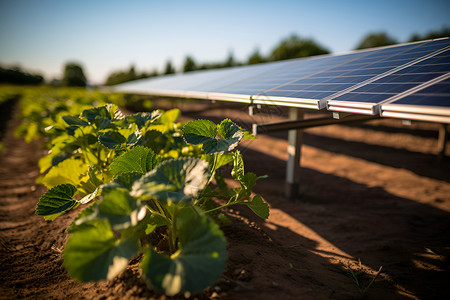 太阳能农业背景图片