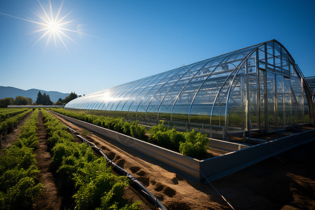 绿色农业科技太阳能绿色田园背景