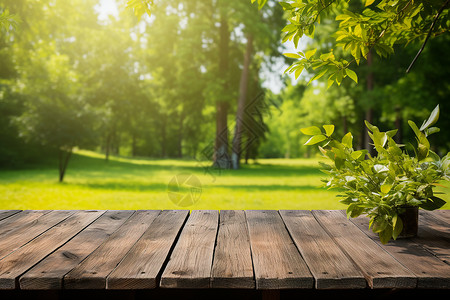 自然公园的木桌子背景图片