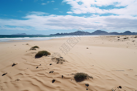 自然的沙滩美景背景图片
