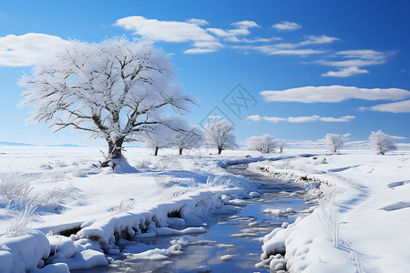 白雪皑皑的冬日美景背景图片