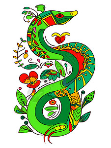 绿色的蛇插画背景图片