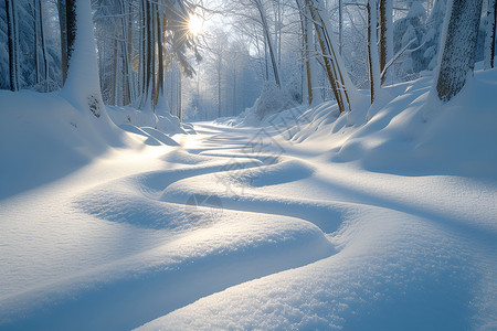 森林中厚厚的积雪背景图片