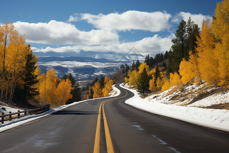 蜿蜒的公路白杨树素材高清图片