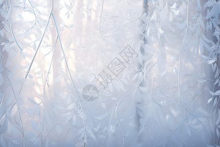 冬季窗户上的冰花背景图片