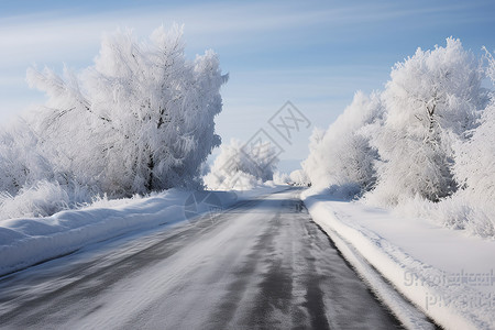 冬日公路雪地柏油露高清图片