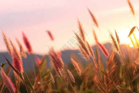 秋季夕阳山间的美丽景观背景图片