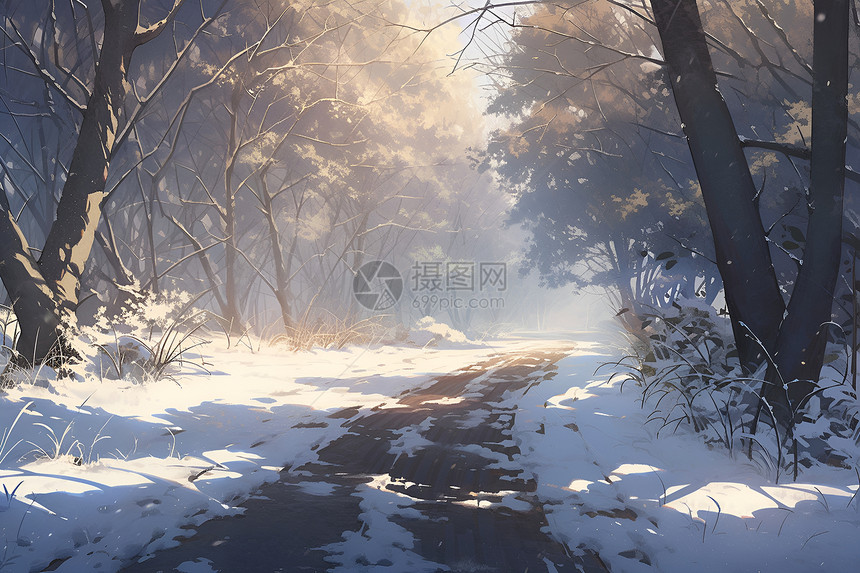 冬季的森林雪景图片