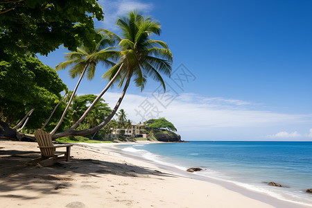 海滩的美景背景图片