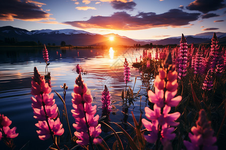 湖泊的美丽日落背景图片