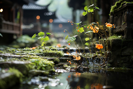 水塘风景潺潺流水植物背景